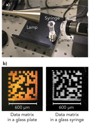 Comparative pictures of gratings inscribed in a syringe